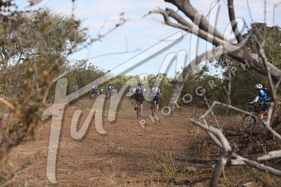 TdT2010-SL_0454