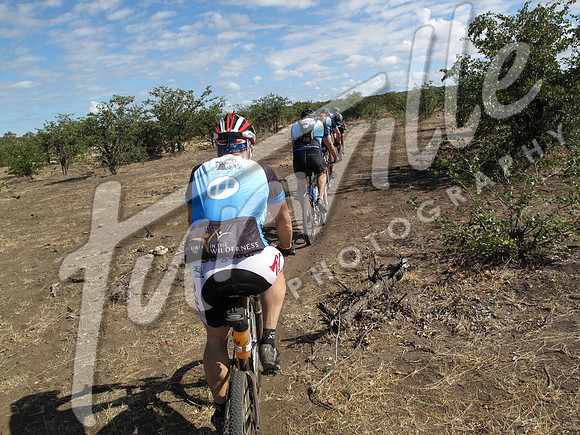 TdT2010-SL_0802