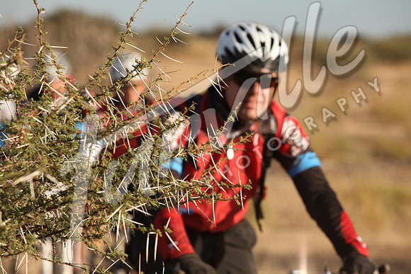 TdT2010-SL_0366