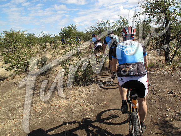 TdT2010-SL_0804
