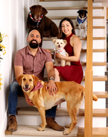 Pets