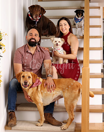 Pets
