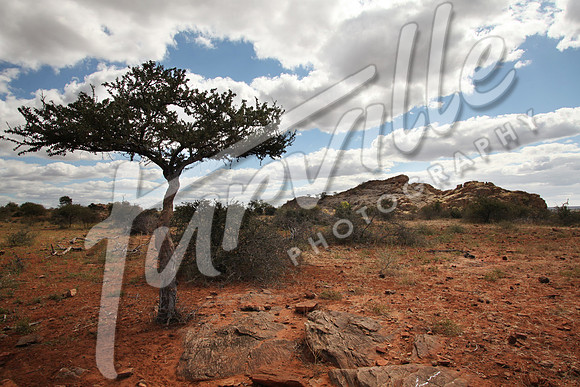 TdT2010-SL_0680