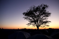 TdT2011SL_0168