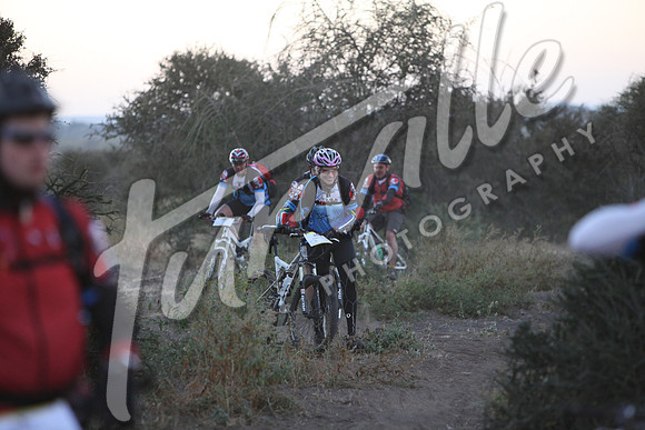 TdT2010-SL_0208
