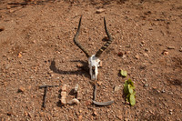 Tour de Tuli 2011 highlights