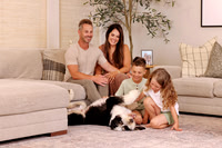 Pets