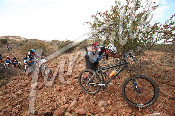 TdT2010-SL_0702