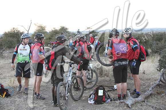 TdT2010-SL_0214