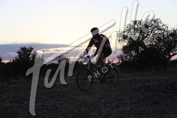 TdT2010-SL_0220