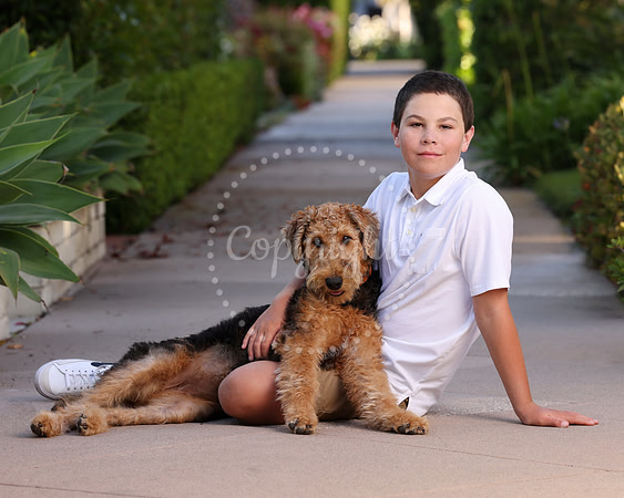 Pets
