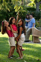 Families