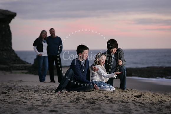 Families