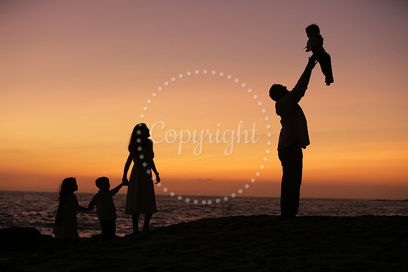 Families