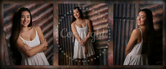 High School Seniors