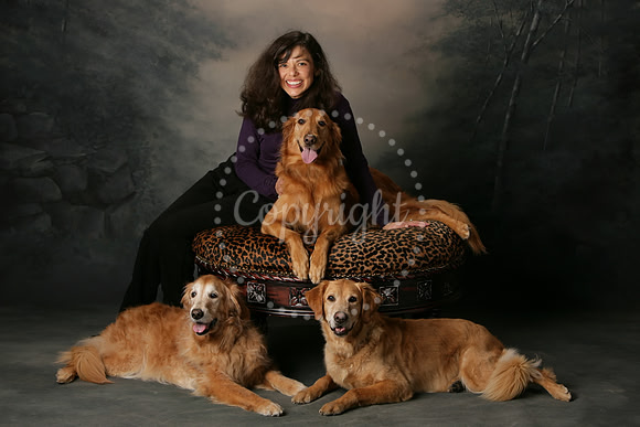 Pets