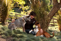 Pets