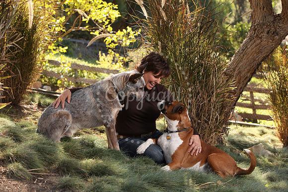 Pets
