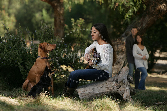 Pets