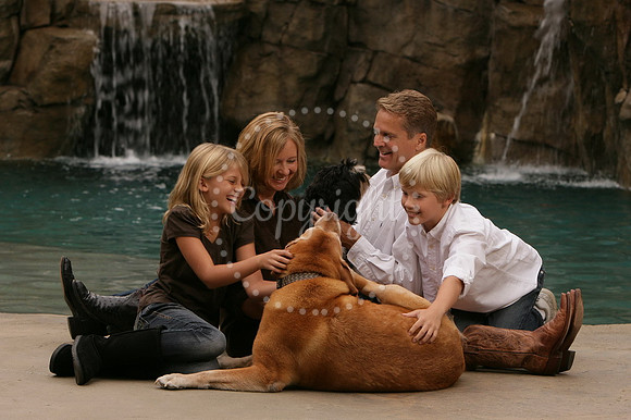 Pets