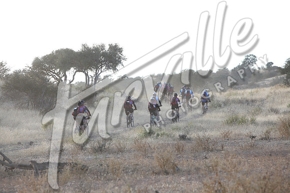 TdT2010-SL_0337