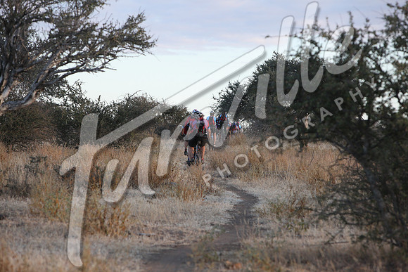 TdT2010-SL_0317