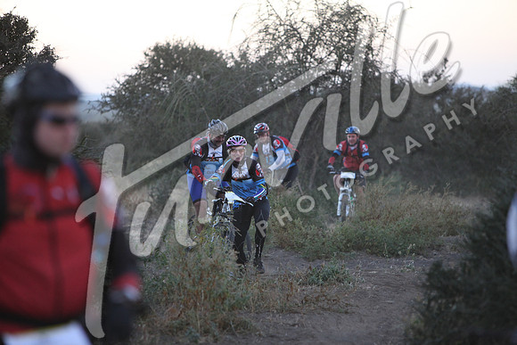 TdT2010-SL_0207