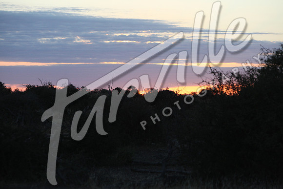 TdT2010-SL_0212