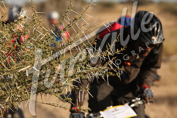 TdT2010-SL_0362