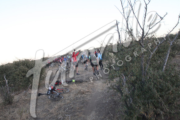 TdT2010-SL_0251