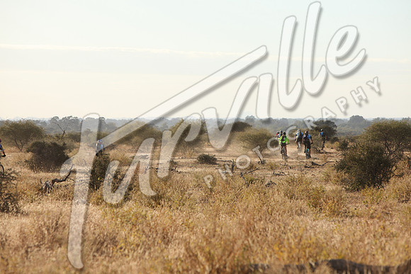 TdT2010-SL_0361
