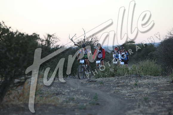 TdT2010-SL_0217