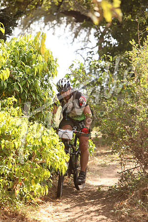 TdT2010-SL_0597