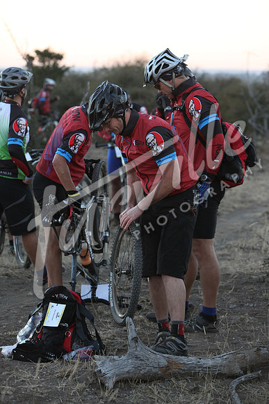 TdT2010-SL_0211