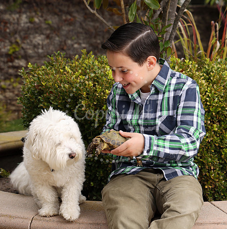 Pets