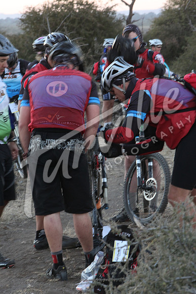 TdT2010-SL_0210