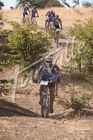 TdT2010-SL_0524