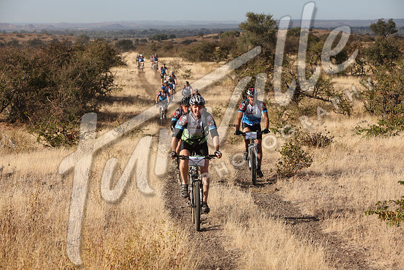 TdT2010-SL_0412