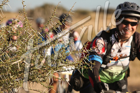 TdT2010-SL_0364