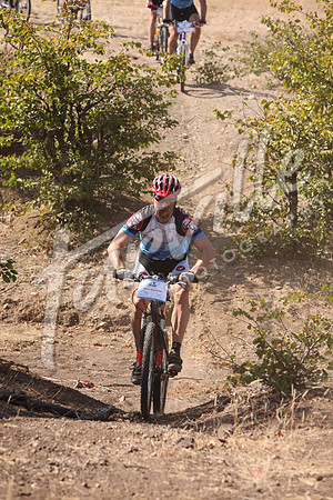 TdT2010-SL_0518