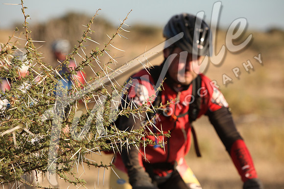 TdT2010-SL_0365