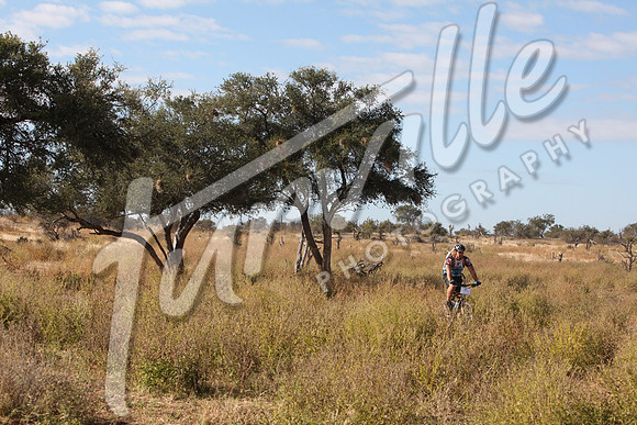 TdT2010-SL_0446