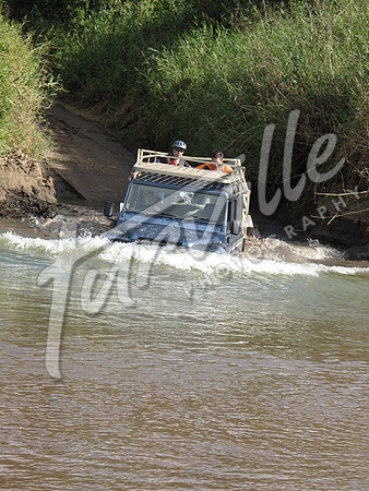 TdT2010-SL_0035
