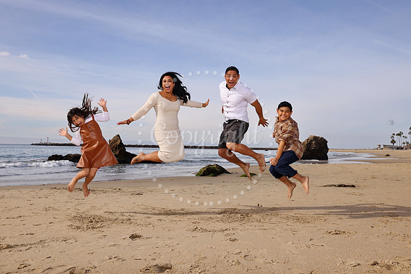 Families