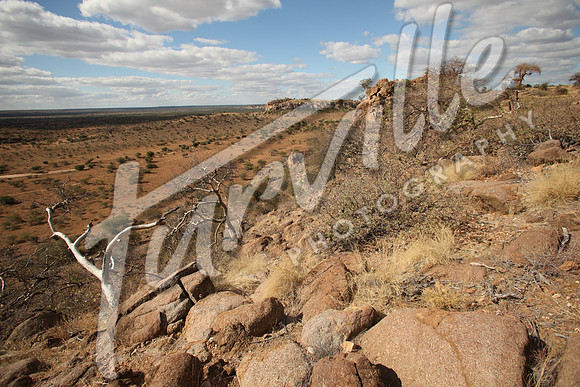 TdT2010-SL_0786