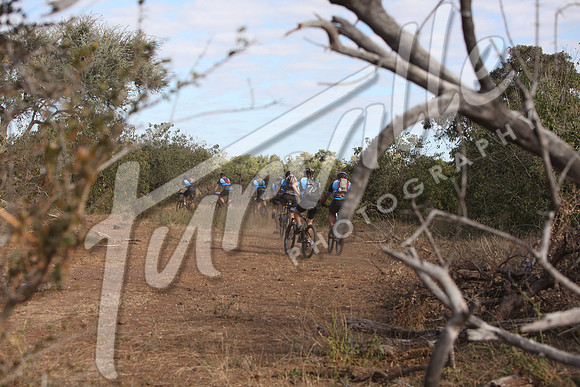 TdT2010-SL_0453