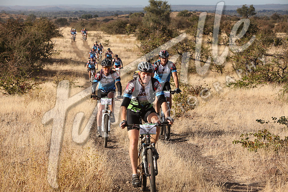 TdT2010-SL_0413
