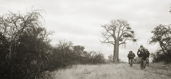 TdT2011SL_1673 B&Wpano