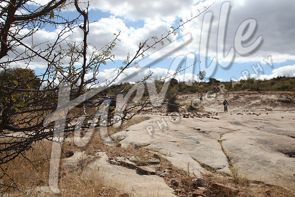 TdT2010-SL_0725
