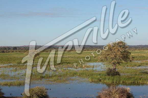 TdT2010-SL_0370